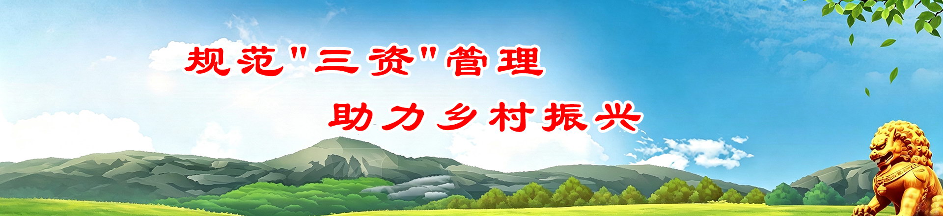 助力乡村振兴